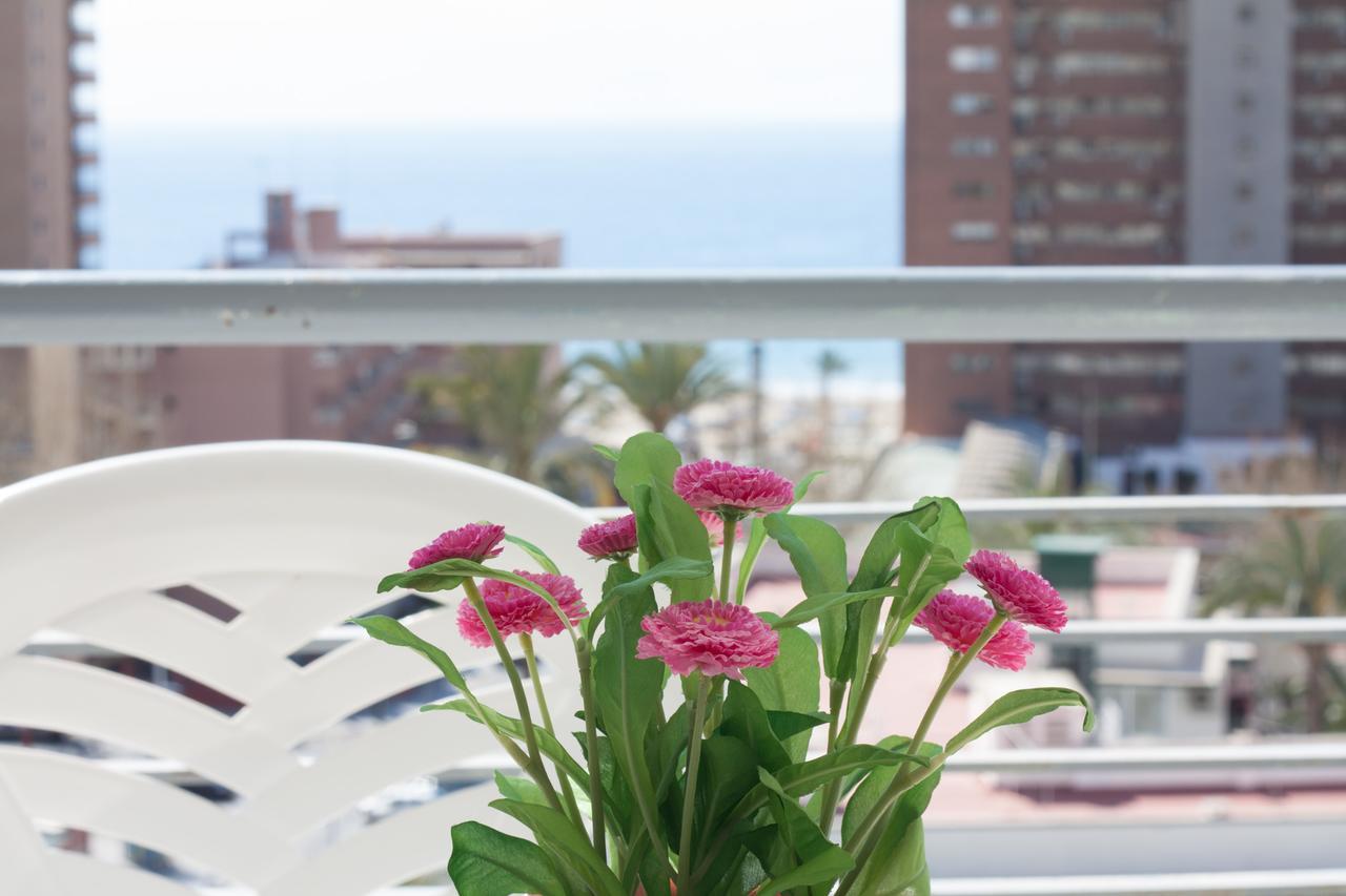 Apartamentos Niza Benidorm Buitenkant foto